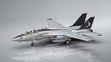 033 F-14A Tomcat (TARPS).jpg