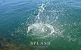 050 Splash.jpg