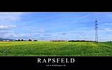 011 Rapsfeld in Bad Soden.jpg