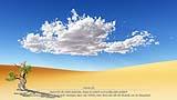 African Sahara Desert with Tree - Josua 1,9 1.jpg