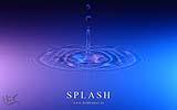 006 Splash rosa-himmelblau (Spitze).jpg