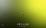035 Splash grau-gruengelb (Einschlag Sequenz).jpg
