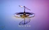 003 Splash lila-rosa (Snoot Illumination gelb).jpg